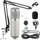 ELzEy Condenser Microphone KitMicrophone KitGame MicrophoneKaraoke Microphone With Suspension Arm