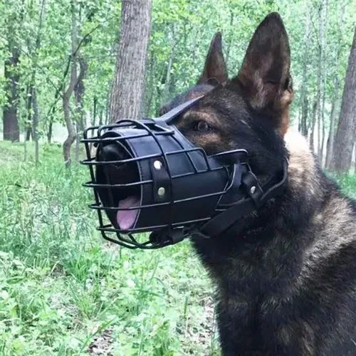 Anti-Biss-Hunde mund käfig verstellbare Metall leder maske Deutscher Schäferhund Dobermann