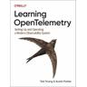 Learning OpenTelemetry - Austin Parker