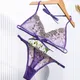 Ensemble soutien-gorge et culotte en dentelle transparente pour femme lingerie sexy broderie