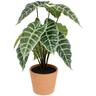 Atmosphera - Alocasia artificielle H43cm vert créateur d'intérieur