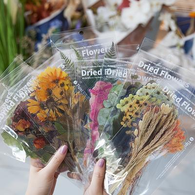 6pcs/pack Weekend Flower Shop Series Decorative St...