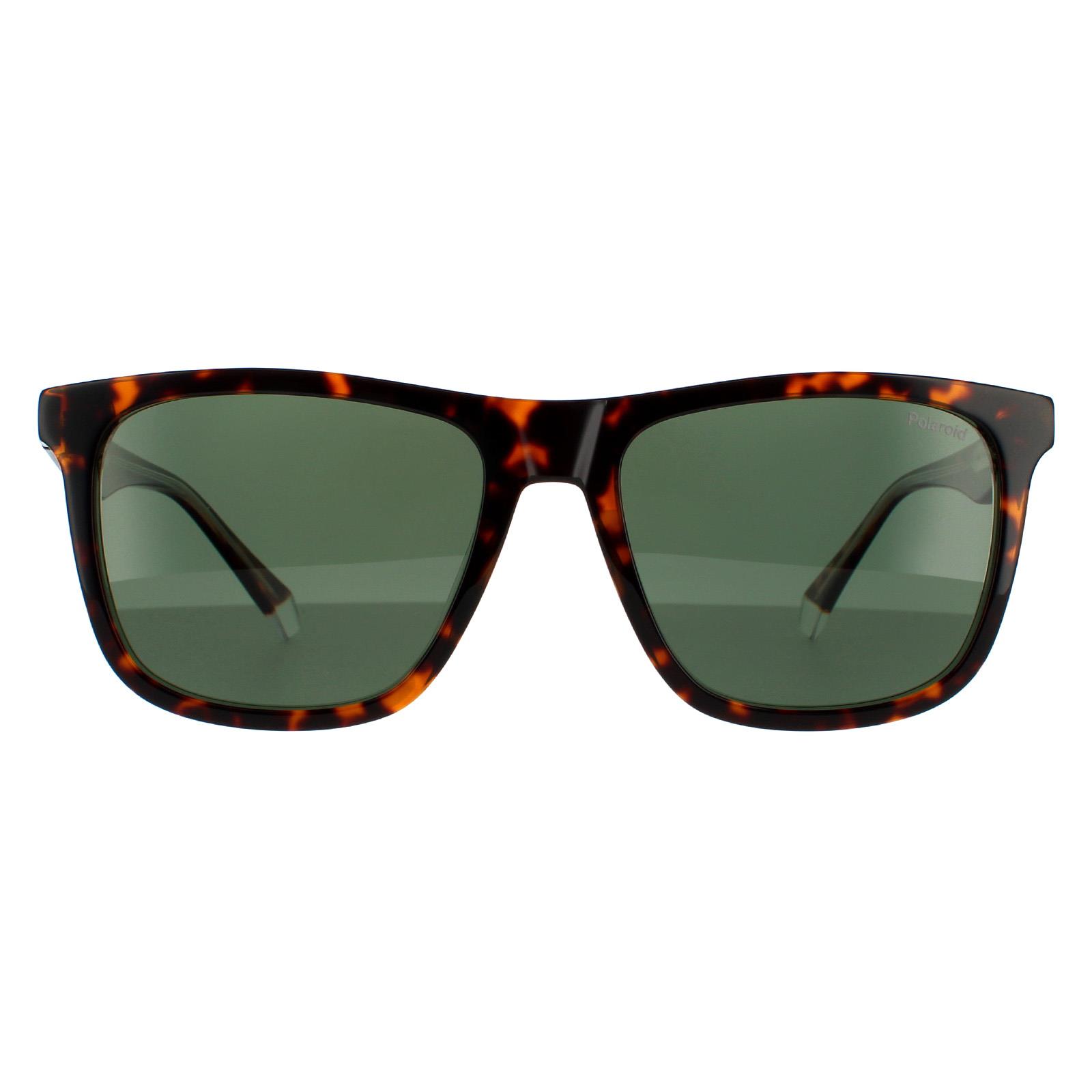 Polaroid Square Unisex Havanna Grün Polarisierte Sonnenbrille Image