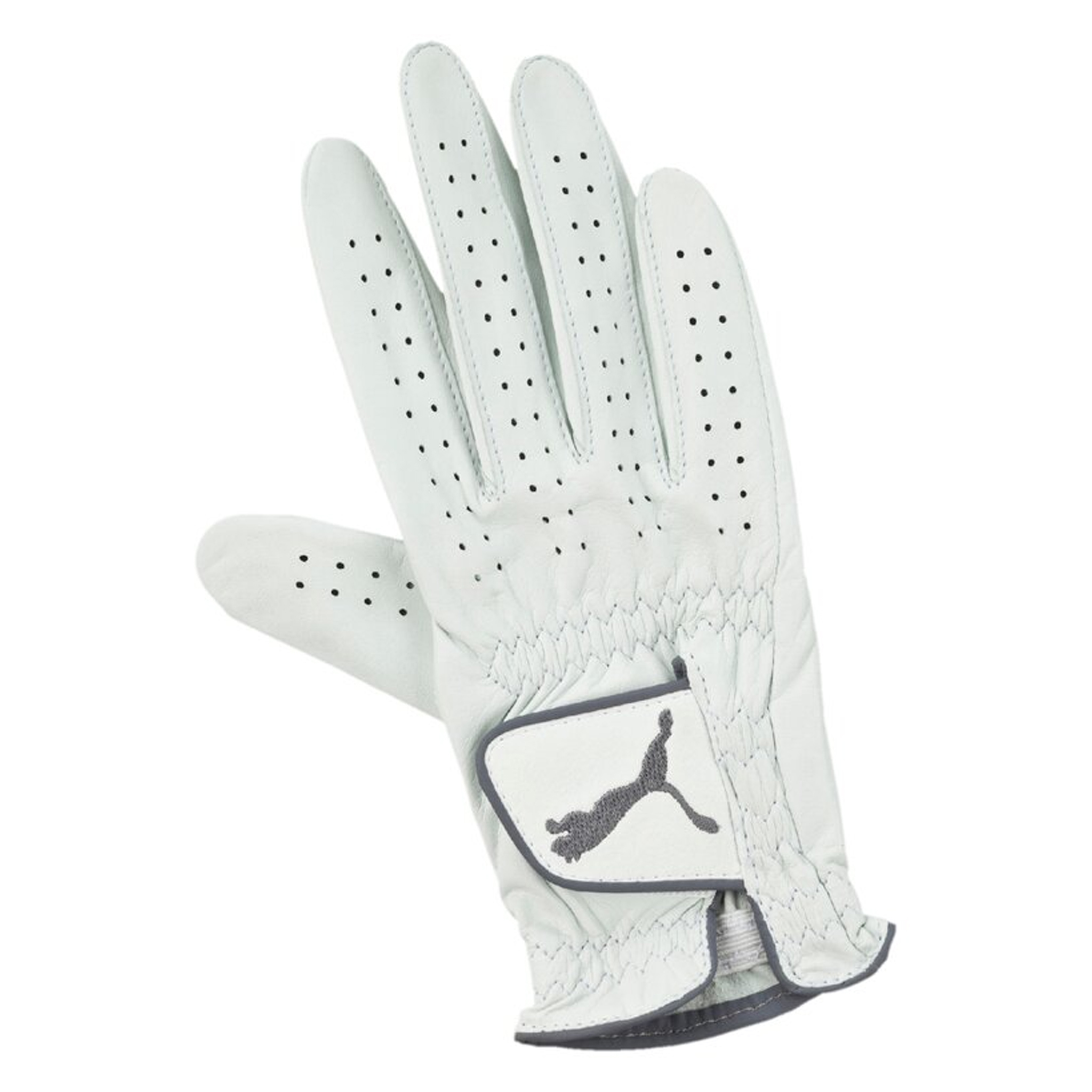 Puma Pro Performance Right Hand Leder White Womens Golf Handschuh 041258 01 Image