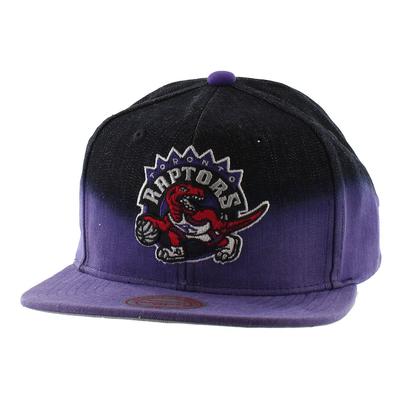 Mitchell & Ness Toronto Raptors Mens Cap Image