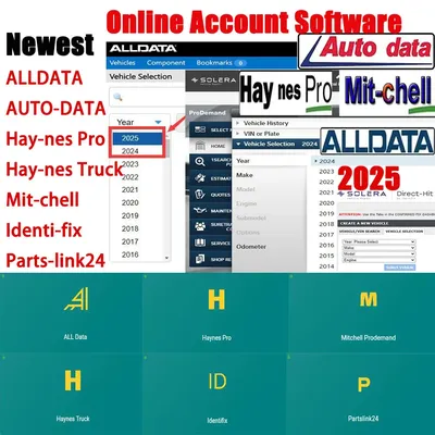2025 Online Account for Alldata Auto-data Newest Car Repair Software for Auto Data All Data Hay-nes
