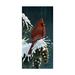 Trademark Fine Art Winter Cardinal Canvas Art by Wilhelm Goebel