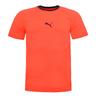 Puma EvoTRG Mens EvoKnit Training Top Short Sleeve T-Shirt Fiery Coral 655332 06 - Size X-Large | Puma Sale | Discount Designer Brands