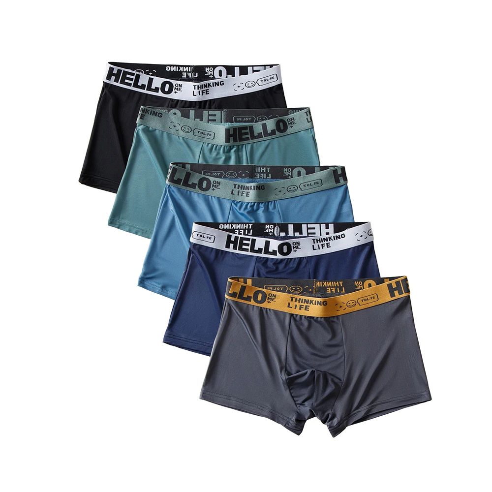 5 Stück/Set Herren Boxershorts Eisseide Herrenunterwäsche Sommer Atmungsaktive Übergrößen-Unterhosen U-förmige Konvex-Unterwäsche Coole Sexy Slips Image