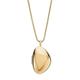 Kariana Locket Gold-Tone Stainless Steel Chain Necklace