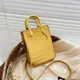 Borsa alla moda Borsa a tracolla in pelle da donna Borsa a tracolla piccola quadrata di marca Borsa