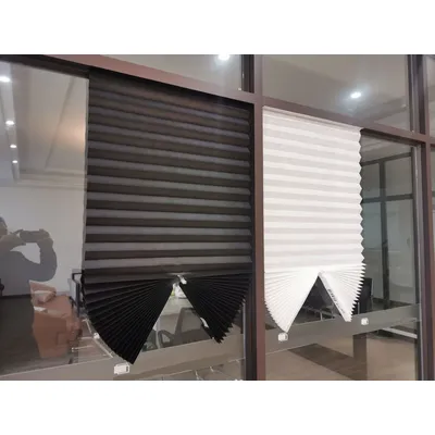 Window+Blinds