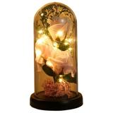 Enchanted Rose Beauty and the Beast Rose with Fallen Petals in A Light Dome Home/Office or Home Decorations Anniversary Valentine s Day Christmas Gift