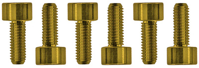 Floyd Rose Saddle Mounting Screws Gold