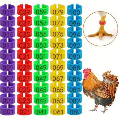 100pcs 5 Colors Colorful Numbered Chicken Leg Band...