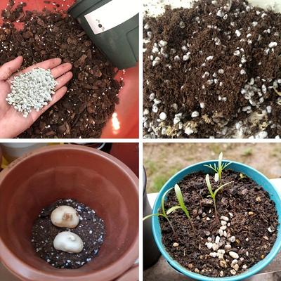 1 Pack Perlite For Plants Perlite Potting Soil Mix...
