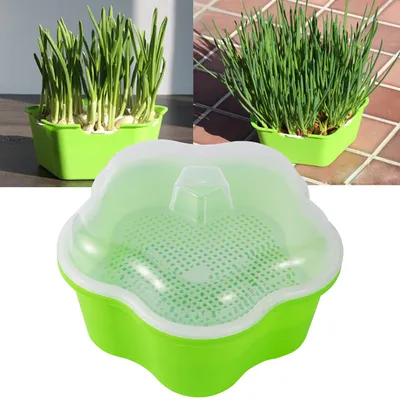 Sprout Planting Pot Bean Sprouter Seedling Tray Wheat Grass Growing Germination Healthy Sprouts for