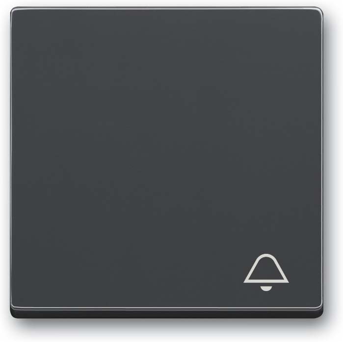 Busch-Jaeger Wippe mit Aufdruck 2520 KI-81 2CKA001751A3176 Image