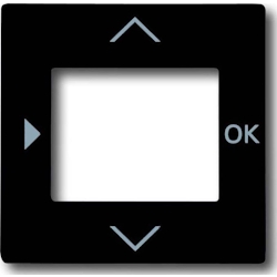 Busch-Jaeger Zentralscheibe anth 6435-81 2CKA006430A0303 Image