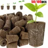 50/100Pcs Seed Grow spugne spugne di ricambio per la crescita delle radici Garden Seed Pod spugne
