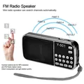 Y-501 Mini Radio FM Altoparlante stereo portatile digitale da 3 W Lettore audio MP3 con torcia a LED Supporto Unità USB Scheda TF AUX-IN