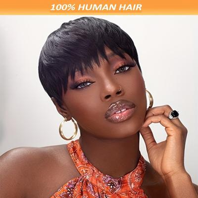 Pixie Cut Wig With Bangs Human Hair Short Wigs For...