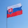 90*150cm bandiera della slovacchia Svk Sk Slovenska slovacchia bandiera della slovacchia bandiera