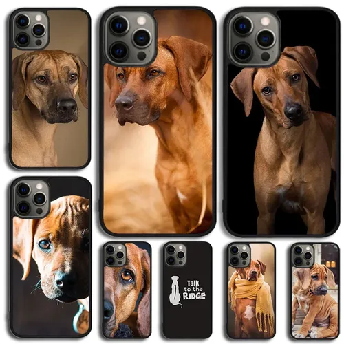 Rhodesian Ridgeback Hund Telefon Fall Für Samsung Galaxy S10 S22 S7 rand S8 S9 Hinweis 10 20 Lite