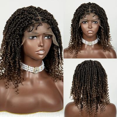 Braids Wig Synthetic Lace Wig Beginners Friendly Heat Resistant Wig For Women