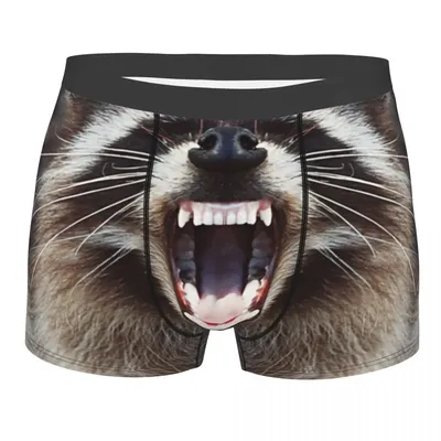 Benutzerdefinierte Sexy männliche Sexy Waschbär Snarling Unterwäsche Müll Panda Waschbär Boxer Image