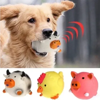 Gesangsspielzeug für Hunde Image