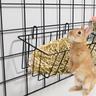 Pet Food Storage Fence Can Be Hung In Their Cage