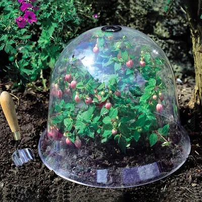 Garden Cloche Dome Plant Bell Plant Covers Garden Decor Plant Protector Cover