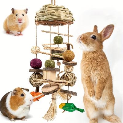 Rustic Wooden Pet Hanging Toy, Interactive Bunny C...