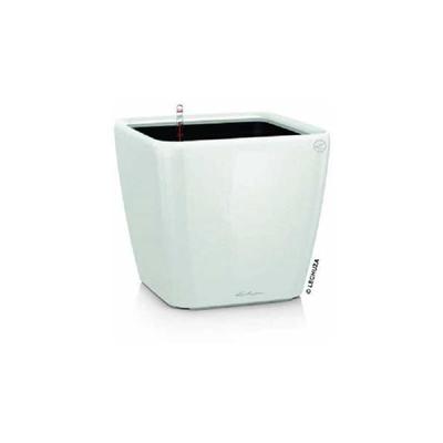 Quadro Premium ls 35 Komplettset weiß hochglanz - Lechuza Image