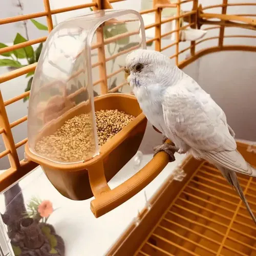 Fix auf Käfig spielen und essen hocken Vogelkäfig Dekor Vogel häuschen Papagei liefert Vogelfutter