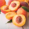 Van Zyverden Peach Tree Contender 1 Root Stock