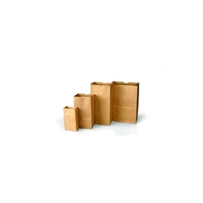 Lightning Powder Printed Paper Evidence Bags Style 86 - 1005312