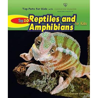 Top 10 Reptiles And Amphibians For Kids