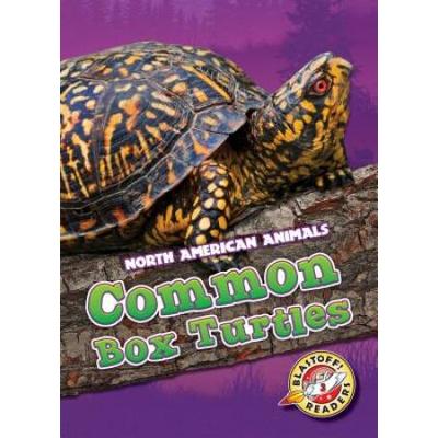 Common Box Turtles