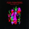 Wasting Light (Vinyl, 2011) - Foo Fighters