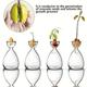 Avocado Seed Starter Vase,Avocado Tree Growing Kit,Glass Plant Pot,Plant Indoor Grow Vase Home Decor