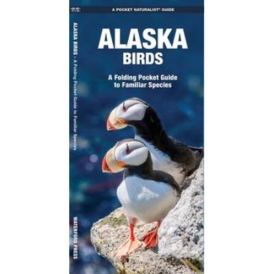 Alaska Birds: A Folding Pocket Guide To Familiar Species