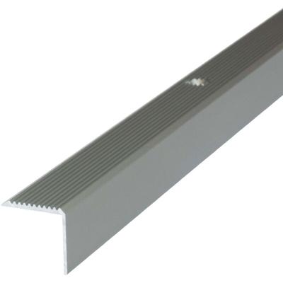 Treppenkantenprofil mit Befestigungsmaterial - 100cm x 42mm x 20mm Champagner