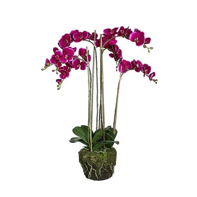 Künstliche Orchidee in Erde H100, Lila