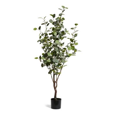 Kunstpflanze Eukalyptus 150 cm