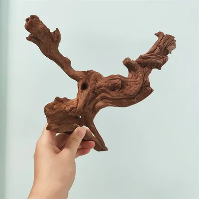 5/20/30CM driftwood home décor Coral wood Climber Reptile Lizard Cork Pet Decoration Drift Wood Fish