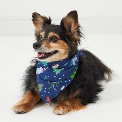 Blue Merry & Bright Pet Bandana - M/L