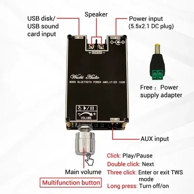 100W Bluetooth 5.1 TPA3116D2 Mono Bt Audio Power Amplifier Module AMP Amplificador Home Theater With
