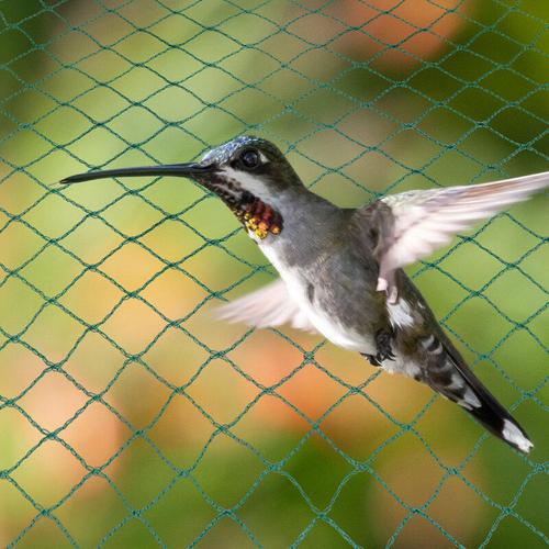 SWANEW Vogelschutznetz Gartennetz 2x10 Meter Laubnetz Schutznetz Vogelnetz Laubschutznetz Teichnetz